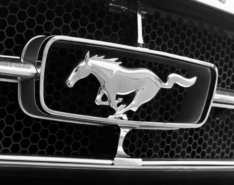 Логотип Ford Mustang Coupe 1964 года  (фото 8 из 19)